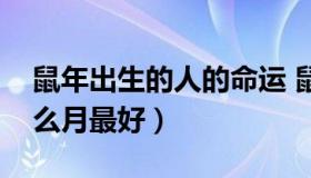 鼠年出生的人的命运 鼠年出生的人的命运什么月最好）