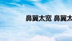 鼻翼太宽 鼻翼太宽怎么修容