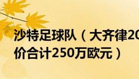 沙特足球队（大齐律2022：沙特进球两人身价合计250万欧元）