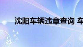 沈阳车辆违章查询 车辆全国违章查询