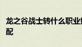 龙之谷战士转什么职业好（龙之谷战士技能搭配