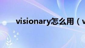 visionary怎么用（vision如何使用）