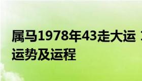 属马1978年43走大运 1978年属马人2024年运势及运程