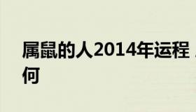 属鼠的人2014年运程 属鼠的2014年运势如何