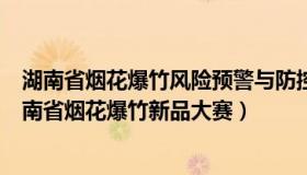 湖南省烟花爆竹风险预警与防控系统（青青子衿在头条：湖南省烟花爆竹新品大赛）