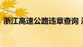 浙江高速公路违章查询 浙江省交通违章查询