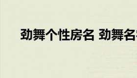 劲舞个性房名 劲舞名字大全女生高冷）