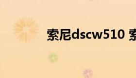 索尼dscw510 索尼dscW50