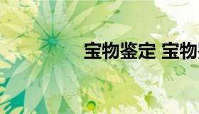 宝物鉴定 宝物鉴定节目）