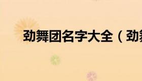 劲舞团名字大全（劲舞团名字大全男）