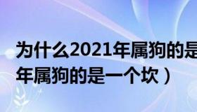 为什么2021年属狗的是一个坎（为什么2020年属狗的是一个坎）