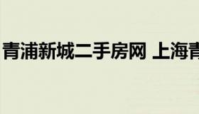 青浦新城二手房网 上海青浦新城二手房出售）