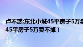 卢不惑:东北小城45平房子5万卖不掉了（卢不惑：东北小城45平房子5万卖不掉）