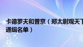 卡德罗夫和普京（郑太尉观天下：卡德罗夫回应被乌方列入通缉名单）