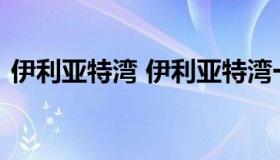 伊利亚特湾 伊利亚特湾一期二手房价格浑南