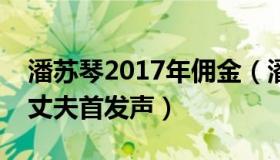 潘苏琴2017年佣金（潘彩霞：自驾阿姨苏敏丈夫首发声）