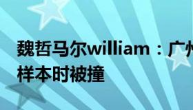 魏哲马尔william：广州交警回应大白送核酸样本时被撞