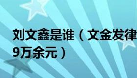 刘文鑫是谁（文金发律师：刘鑫需赔偿江母69万余元）