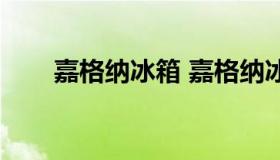 嘉格纳冰箱 嘉格纳冰箱价格一览表）