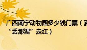 广西南宁动物园多少钱门票（洒墨写华年：南宁动物园回应“丢那猩”走红）