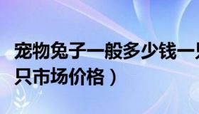 宠物兔子一般多少钱一只（宠物兔子多少钱一只市场价格）