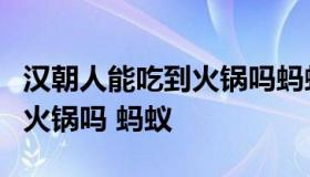 汉朝人能吃到火锅吗蚂蚁庄园（汉朝人能吃到火锅吗 蚂蚁