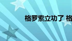 格罗索立功了 格罗索立功了!