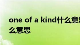 one of a kind什么意思 one kinds of是什么意思