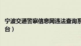 宁波交通警察信息网违法查询系统 宁波公安局交通警察局平台）