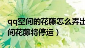 qq空间的花藤怎么弄出来（ITBEAR：QQ空间花藤将停运）