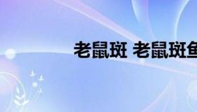 老鼠斑 老鼠斑鱼做法大全）