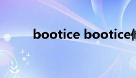 bootice bootice修复win10uefi