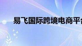 易飞国际跨境电商平台（易飞erp官网