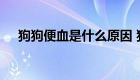 狗狗便血是什么原因 狗狗便血怎么治疗