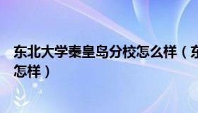 东北大学秦皇岛分校怎么样（东北大学秦皇岛分校实力到底怎样）