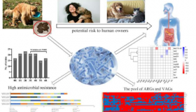 在腹泻的狗身上发现了对抗生素具有耐药性的大肠杆菌