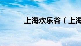 上海欢乐谷（上海欢乐谷攻略）