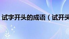 试字开头的成语（试开头的成语有哪些成语）