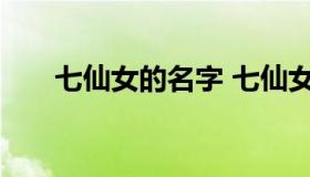 七仙女的名字 七仙女的名字是谁取的