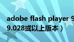 adobe flash player 9 您需要flash player 9.028或以上版本）