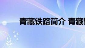 青藏铁路简介 青藏铁路简介300字