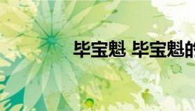 毕宝魁 毕宝魁的学术水平）