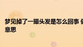 梦见掉了一撮头发是怎么回事 做梦梦见掉了一撮头发是什么意思