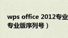 wps office 2012专业版序列号（wps2019专业版序列号）