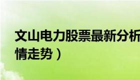 文山电力股票最新分析讨论 文山电力股票行情走势）