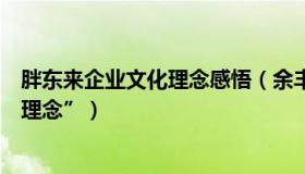 胖东来企业文化理念感悟（余丰慧：九个关键词感悟“中国理念”）