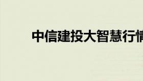 中信建投大智慧行情 中信智慧投资