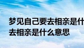 梦见自己要去相亲是什么意思 做梦梦见自己去相亲是什么意思