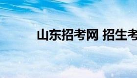 山东招考网 招生考试信息网官网