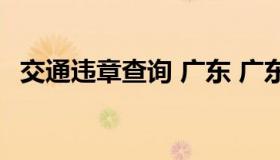 交通违章查询 广东 广东全省交通违章查询